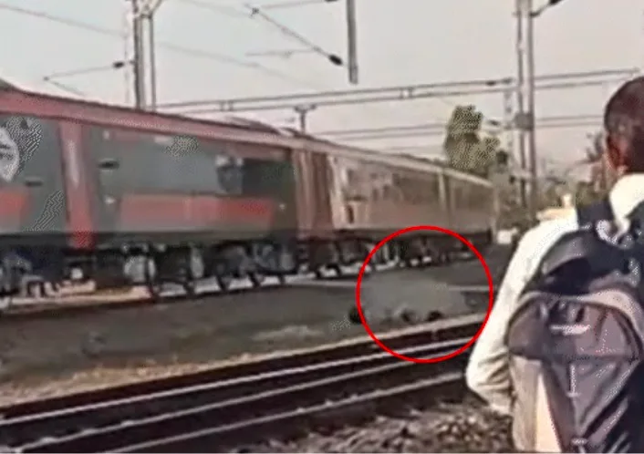 WhatsApp Image 2026-04-19 at 4.56.15 PM.jpeg