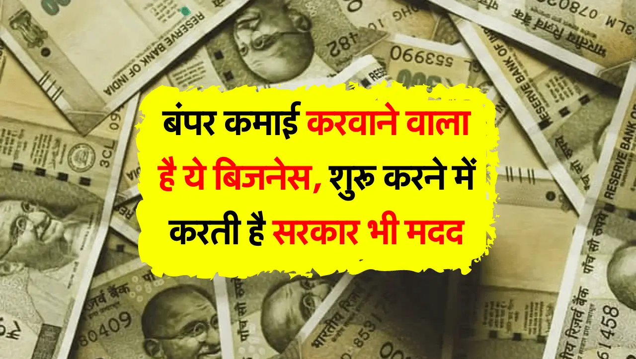Business Ideas 2024: बंपर कमाई करवाने वाला है ये बिजनेस, शुरू करने में करती है सरकार भी मदद