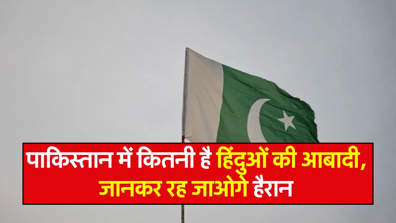Hindu In Pakistan: पाकिस्तान में कितनी है हिंदुओं की आबादी, जानकर रह जाओगे हैरान