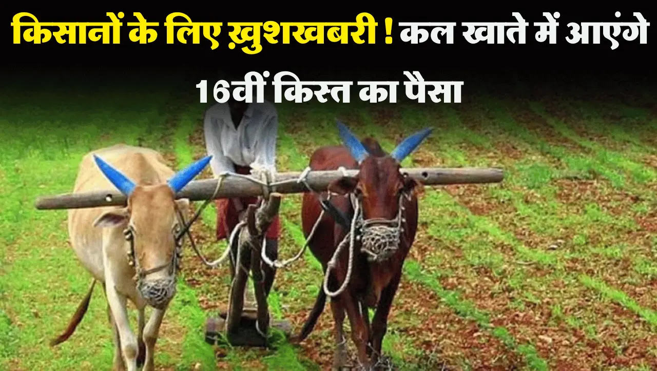 किसानों के लिए ख़ुशखबरी! कल खाते में आएंगे 16वीं किस्त का पैसे