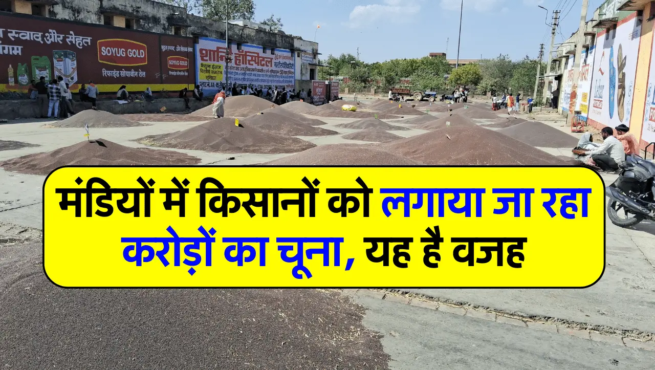 मंडियों में किसानों को लगाया जा रहा करोड़ों का चूना, यह है वजह