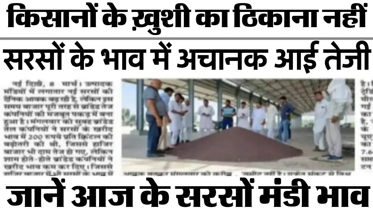 Sarso Ka Bhav : सरसों के भाव में अचानक आई तेजी, किसानों के ख़ुशी का ठिकाना नहीं, जानें आज के सरसों म