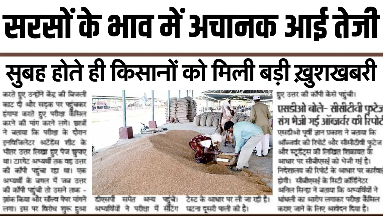 सरसों भाव : सुबह होते ही किसानों को मिली बड़ी ख़ुशखबरी..! सरसों के भाव में अचानक आई तेजी, जानें आज क