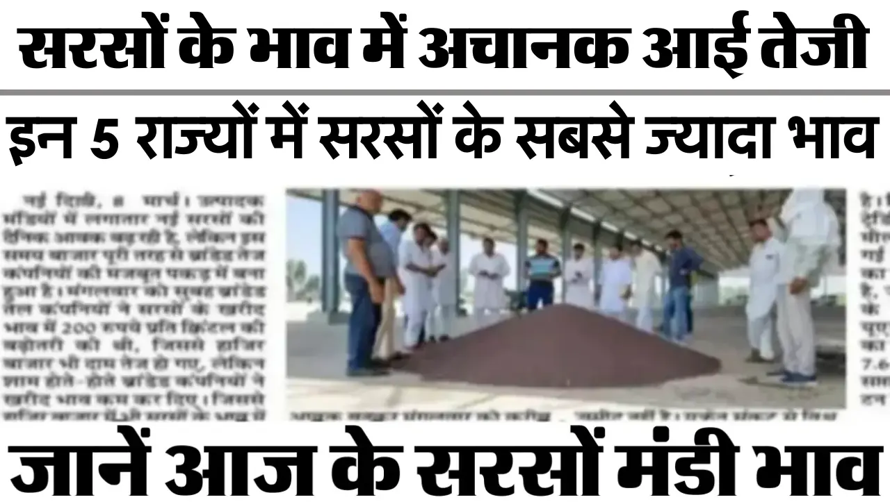 Sarso Ka Bhav : सरसों के भाव में अचानक आई तेजी, इन 5 राज्यों में सरसों के सबसे ज्यादा भाव ,जानें आज